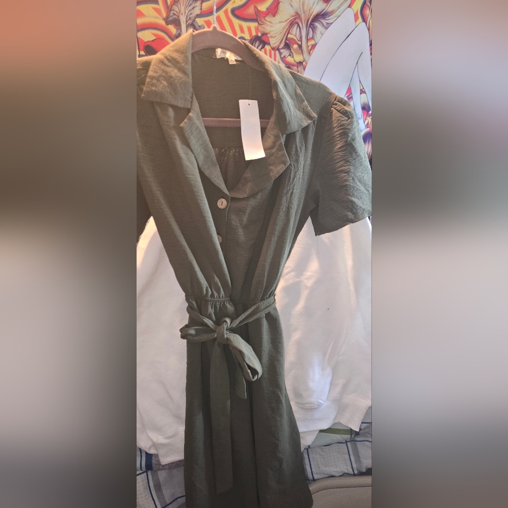 Joie Olive Midi Dress